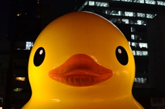 こんばんは！