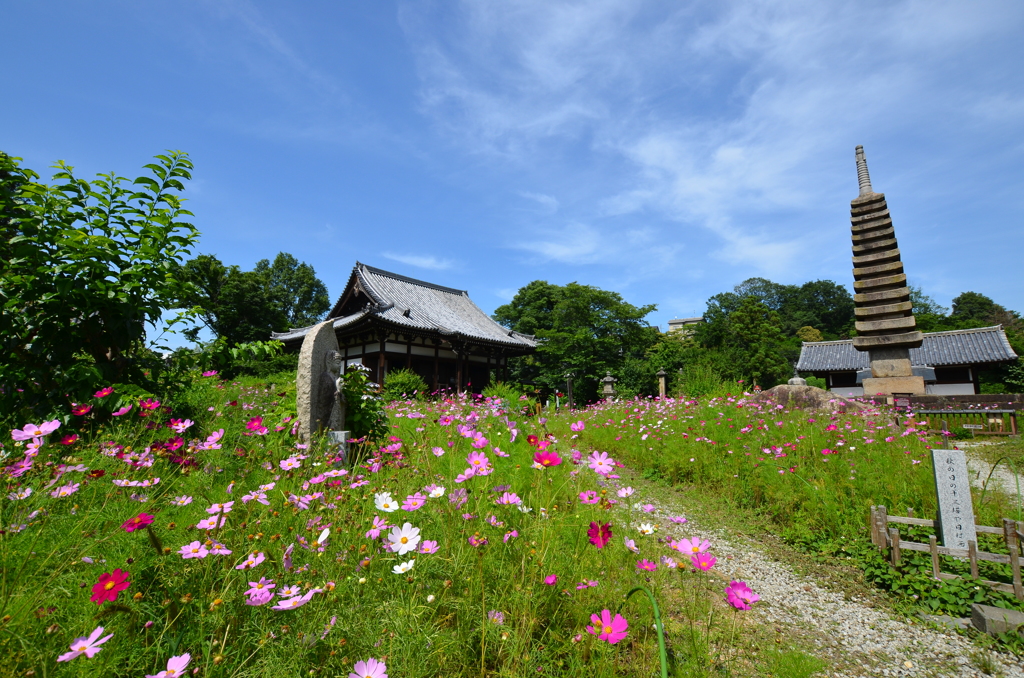 一足先に秋の景色