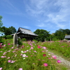 一足先に秋の景色