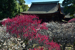 道明寺天満宮