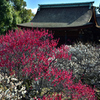 道明寺天満宮