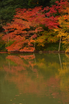 浄瑠璃寺の秋