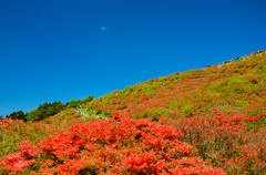 葛城山 燃える赤