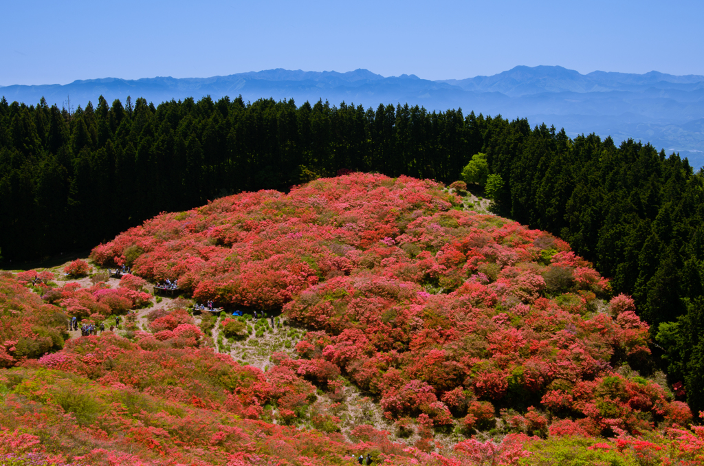 葛城山