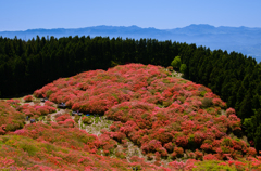 葛城山