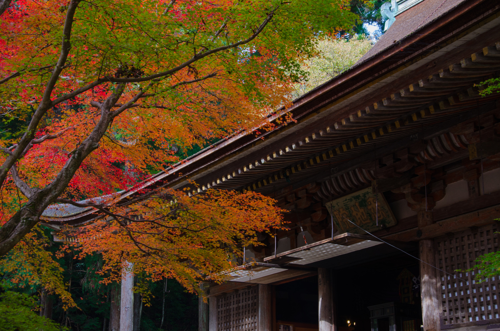 室生寺　本堂