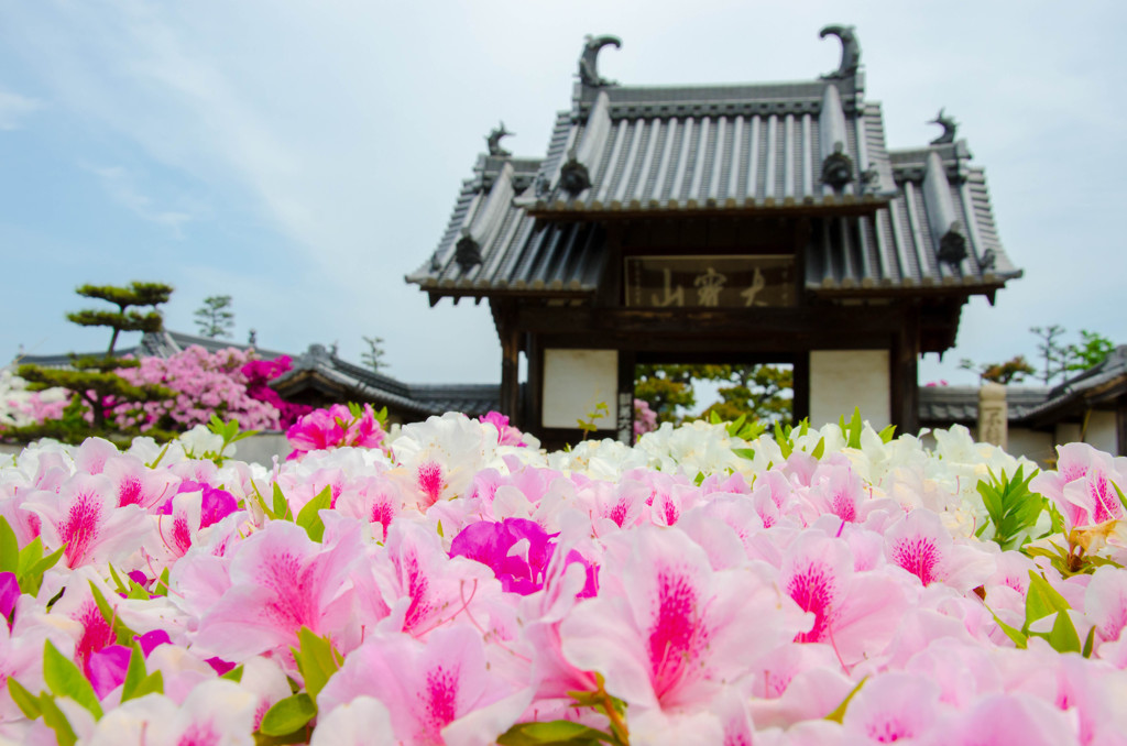 黄檗宗大寶山法雲禅寺山門