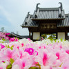 黄檗宗大寶山法雲禅寺山門