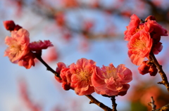 なぁ、この夕日、あと何回見れるんだろうなぁ？