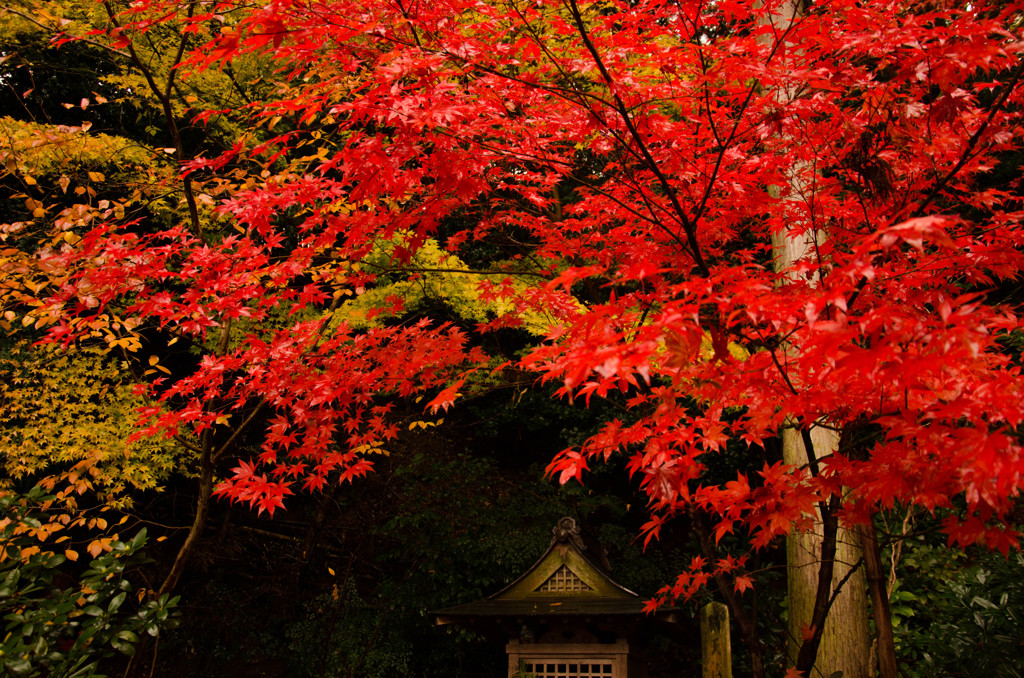 當麻寺西南院