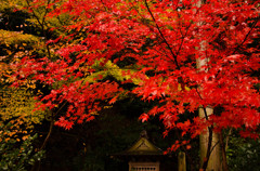 當麻寺西南院