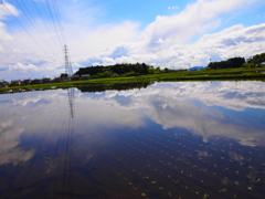 田下都市