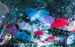 the rainy season umbrella