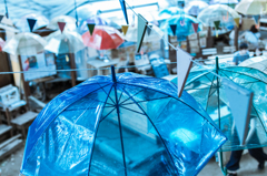 the rainy season umbrella
