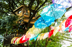 the rainy season umbrella