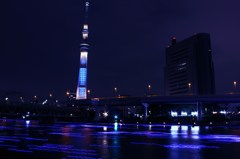 tokyo hotaru