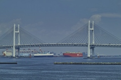 SDIM1105