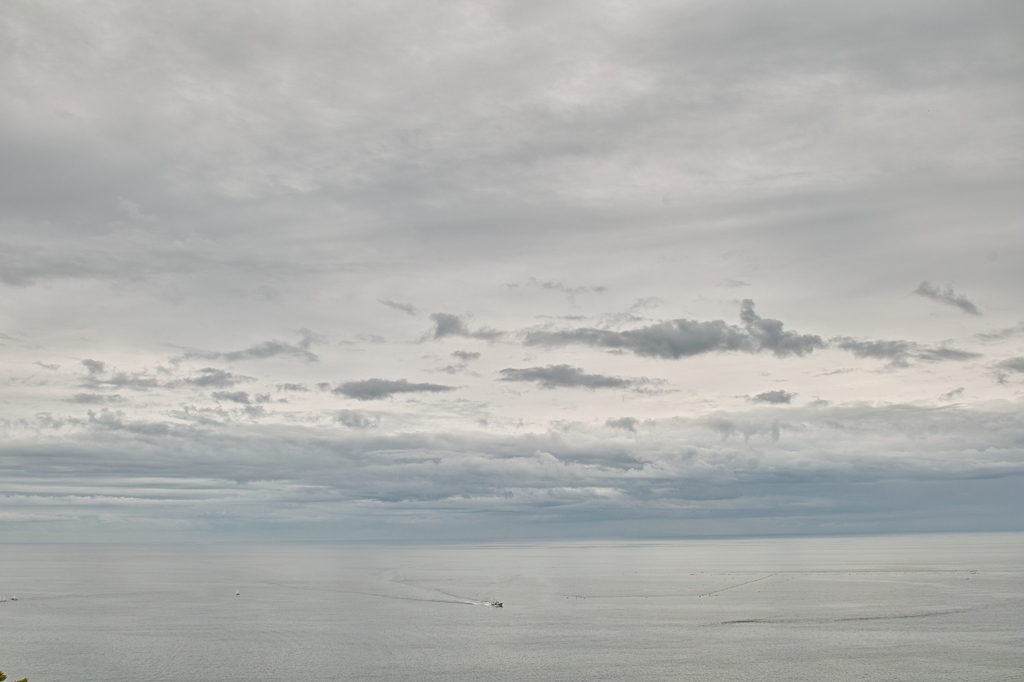 SDIM0526
