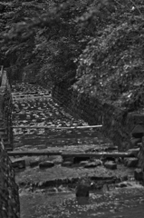 SDIM0739