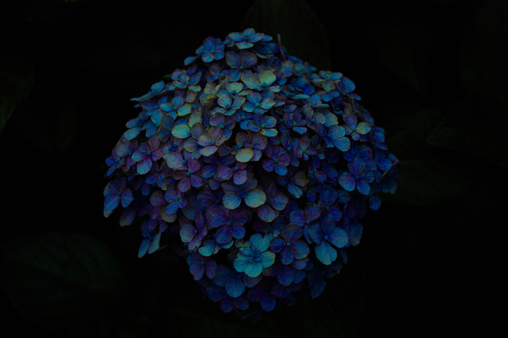 SDIM0969