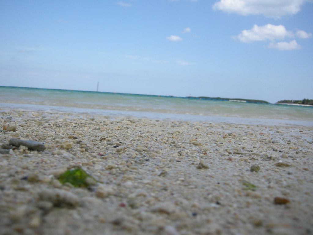 ぼやけた水平線