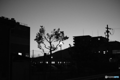 DSCF0073