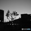 DSCF0073
