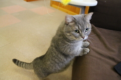 じー。