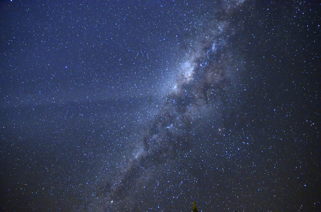 1-_DSC9485