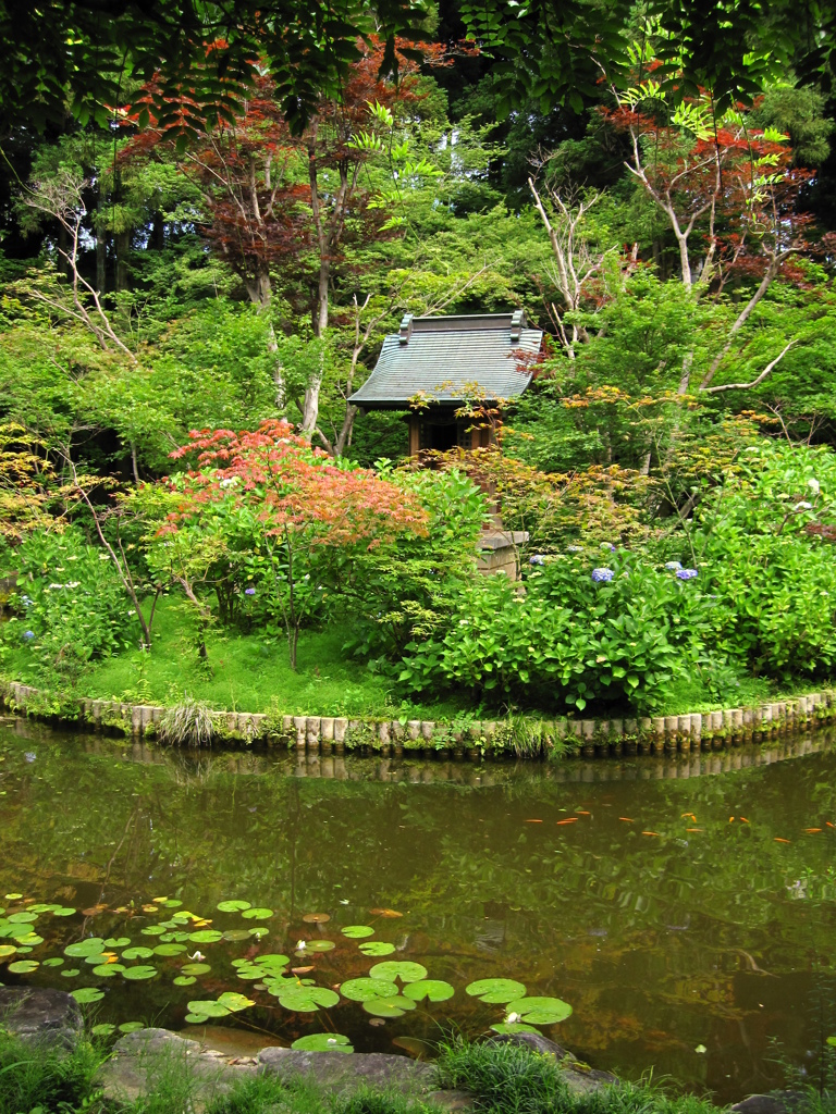 本土寺　池