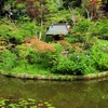 本土寺　池