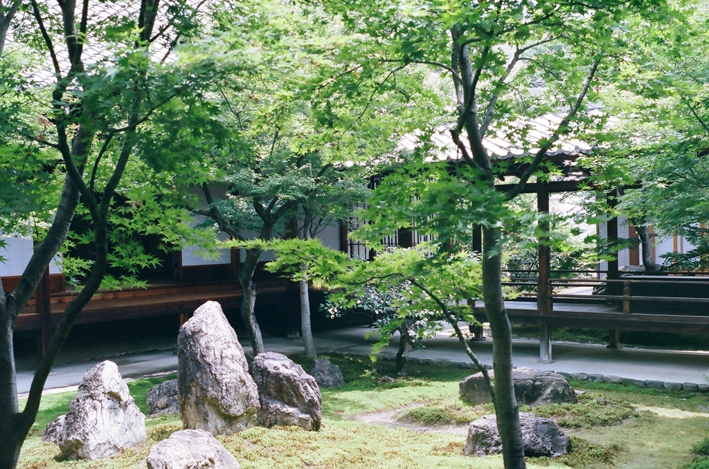 建仁寺のお庭