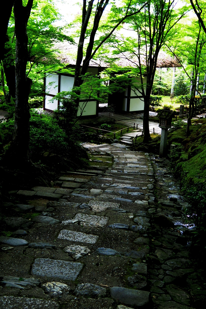 常寂光寺