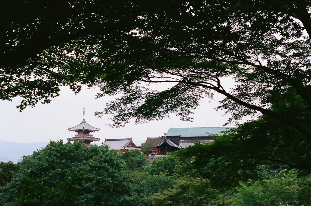 工事中の清水寺