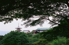 工事中の清水寺