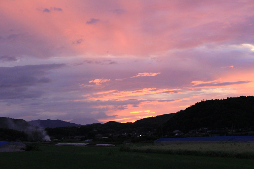 ピンクの空