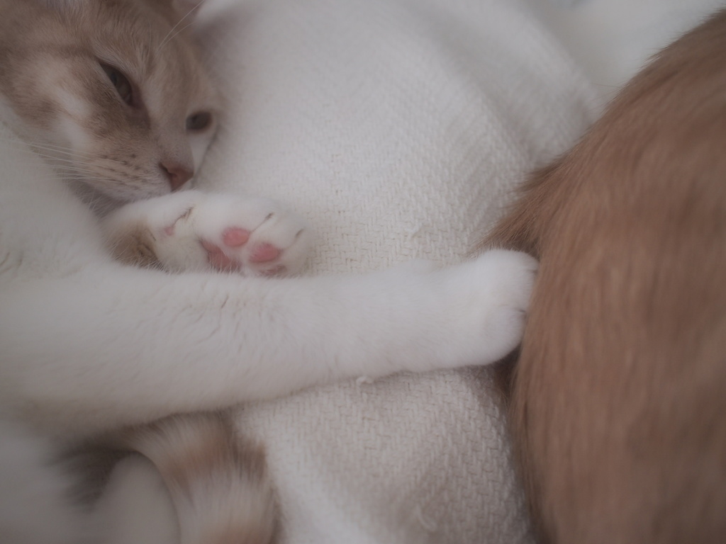 Touch ♡