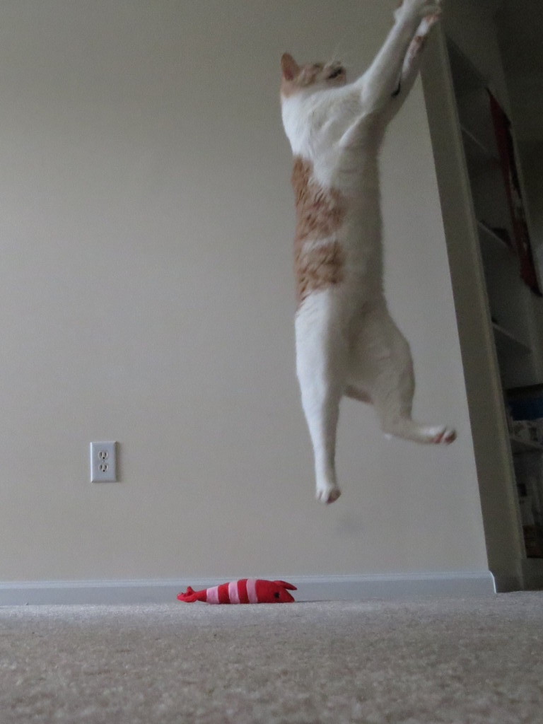 Jump!