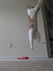 Jump!