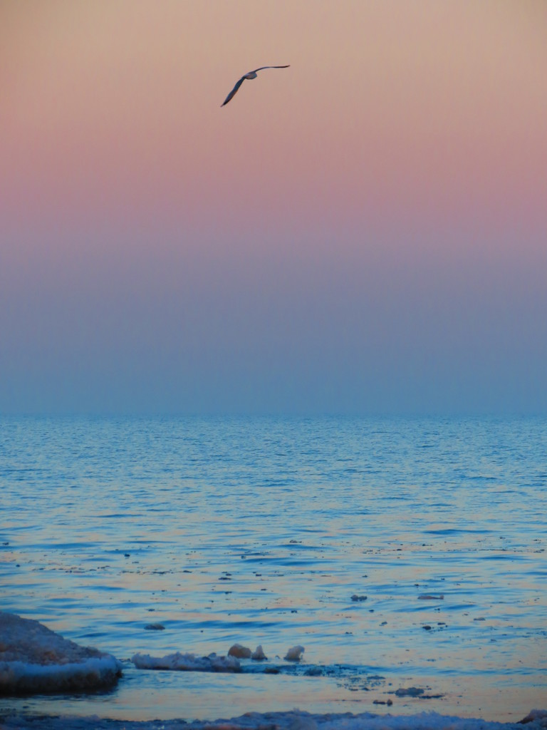 Wonders of Nature - 55