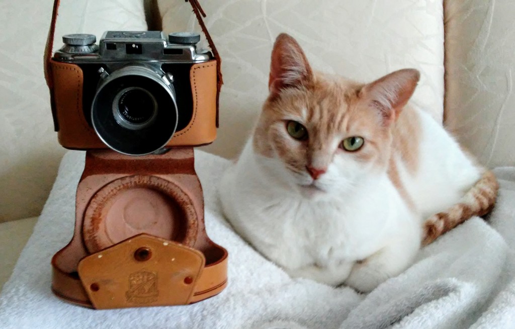 ママの新しい古いカメラ