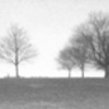 Landscape in the mist