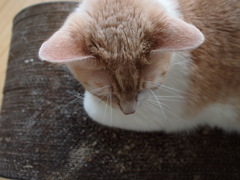 村山さん