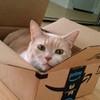 Nyamazon Prime