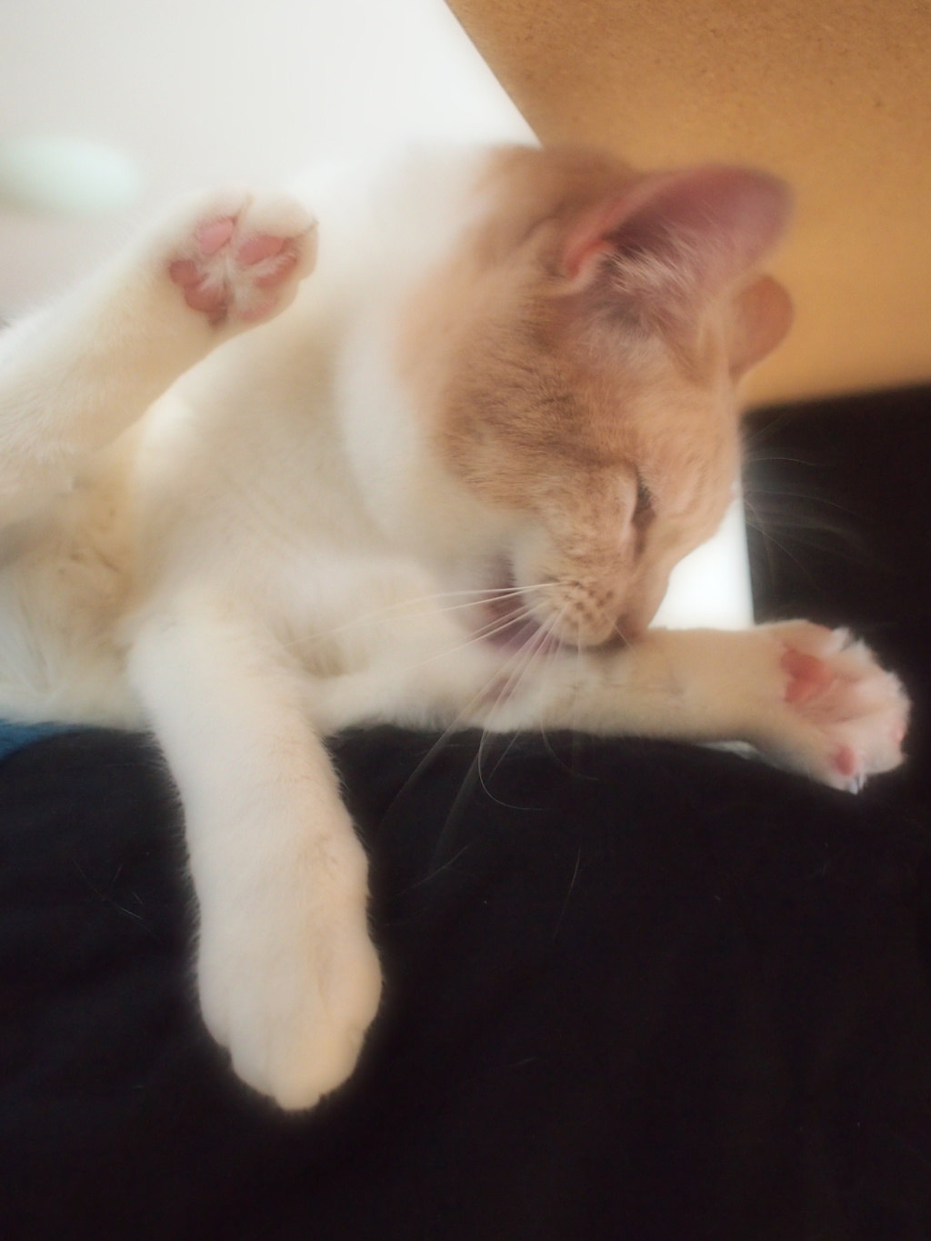 身だしなみ