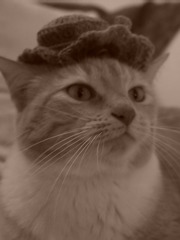 Lady with a hat