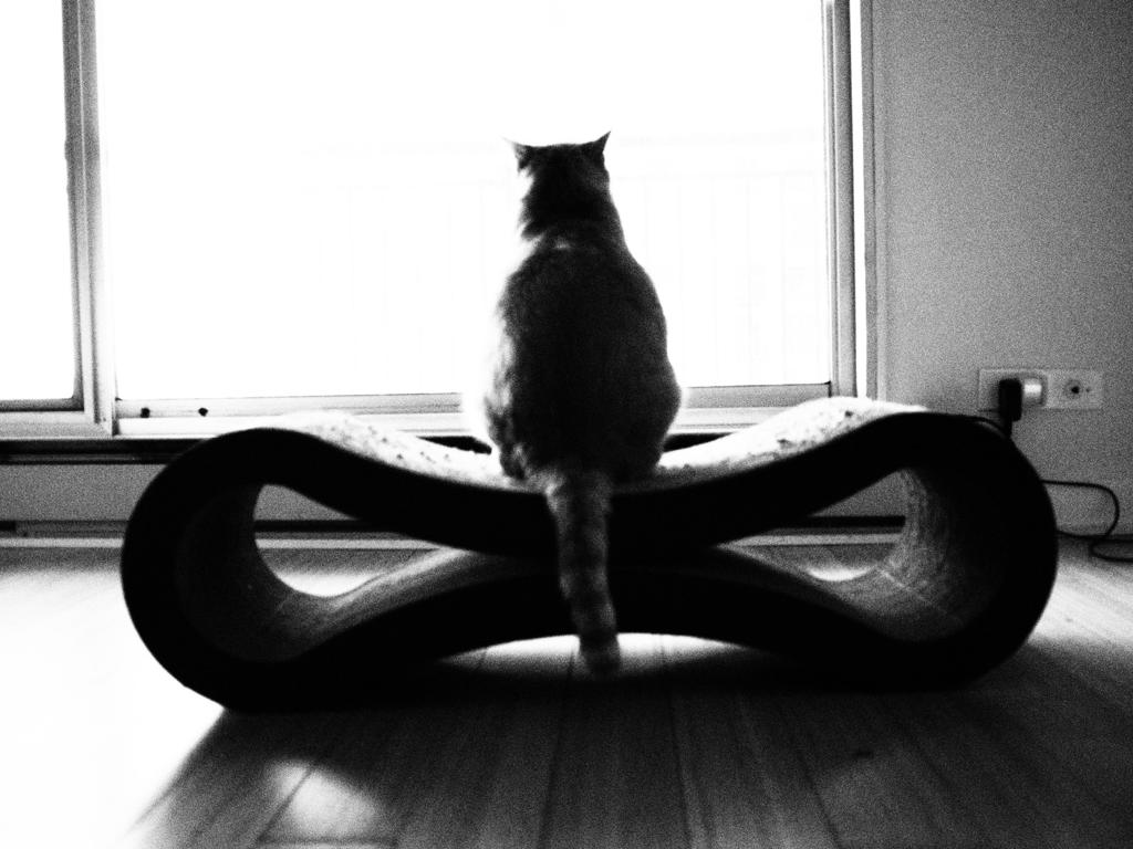 Infinity