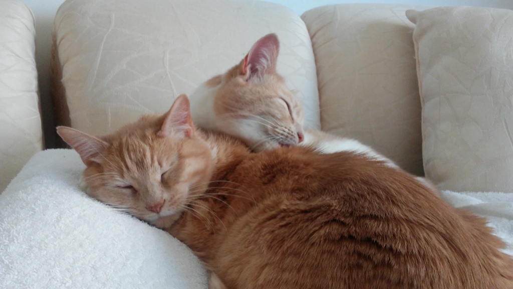 Feelin' Cuddly