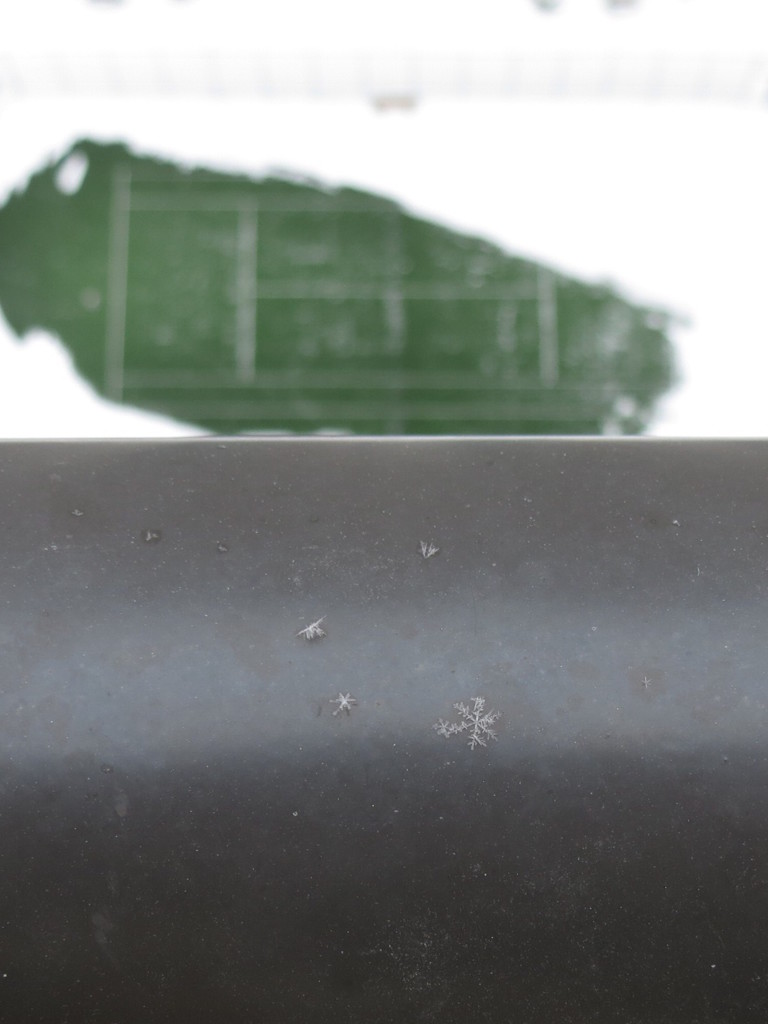Snowflakes
