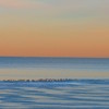 Wonders of Nature - 39